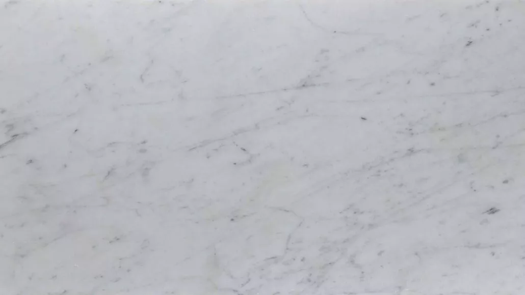 Carrara Honed 300 x600 scaled 1 Carrara Marble Tiles